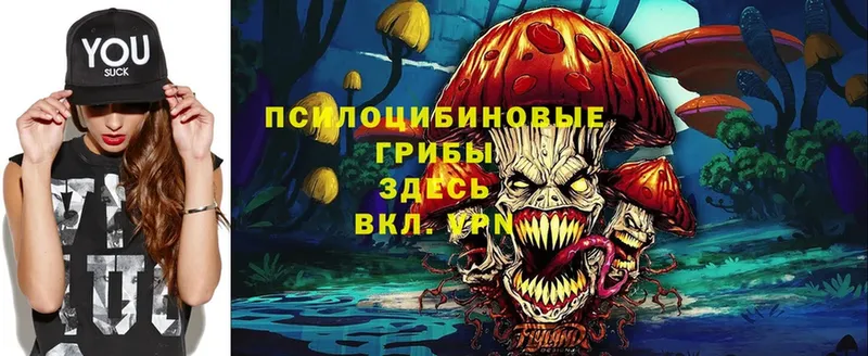 Псилоцибиновые грибы Psilocybe  Камызяк 